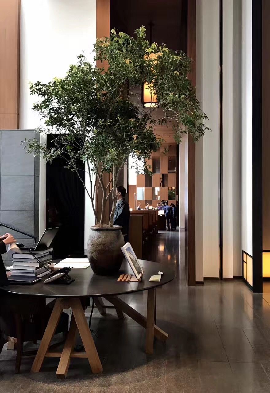 20251111/8d6495f2cb5514265a5cd71c8ca9fcb2.jpg 20251111/8d6495f2cb5514265a5cd71c8ca9fcb2.jpg