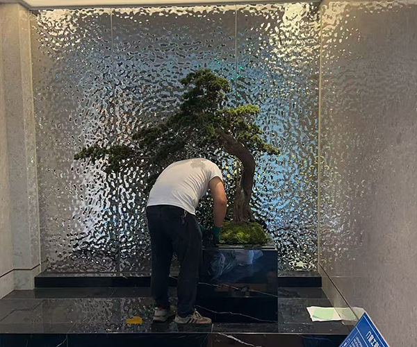 绿植造景设计及产品制作